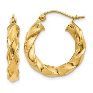 Bold Twist Hoops