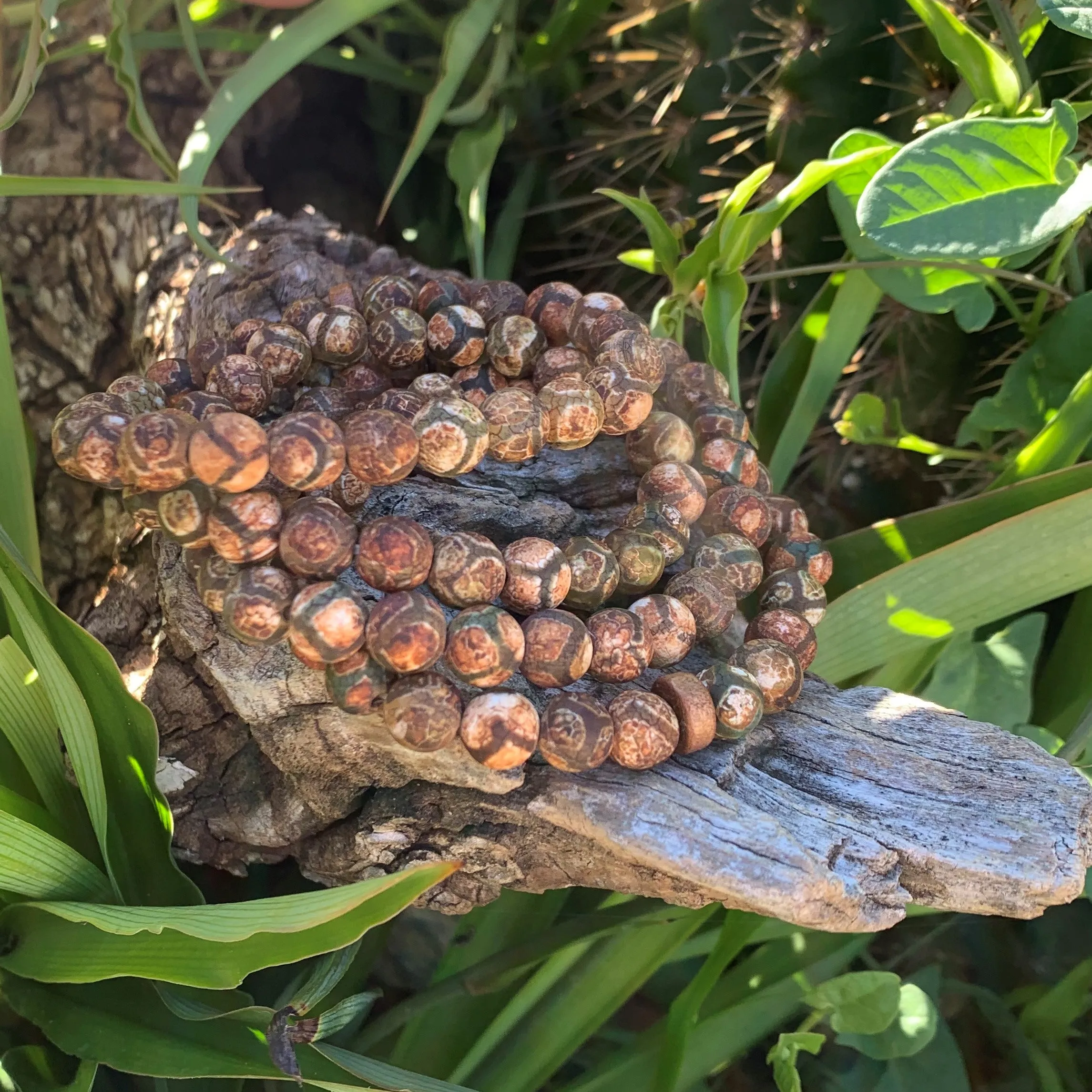 Natural wood bracelet, wenge wood beads and sandalwood, men's bracelet